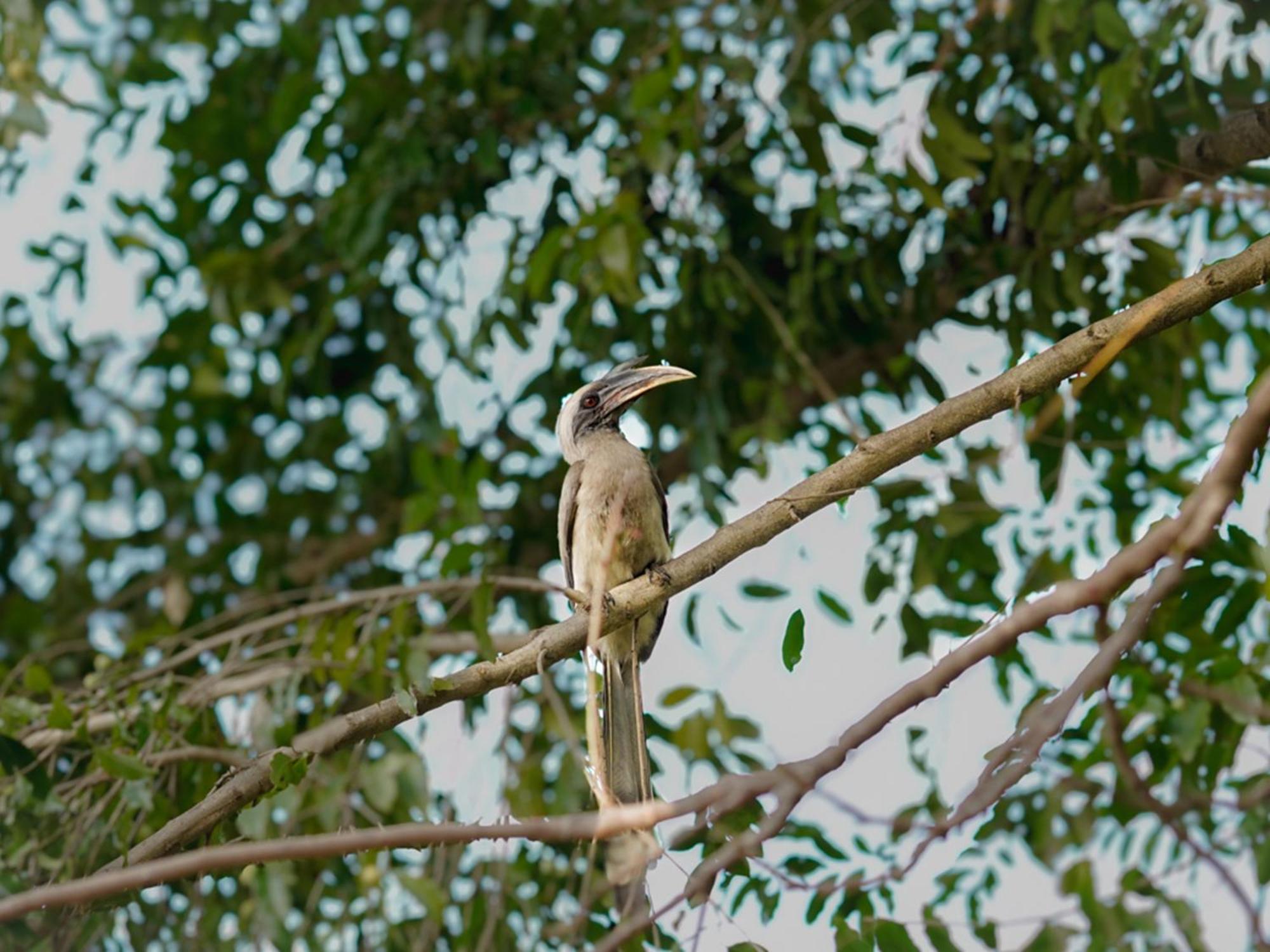 Aahana Resort - Jim Corbett Ramnagar  Exterior photo